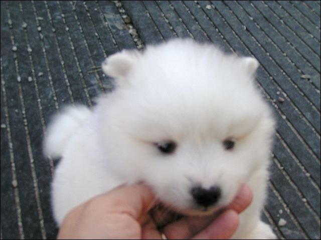 boy-6.jpg
