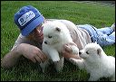 pups1.JPG 