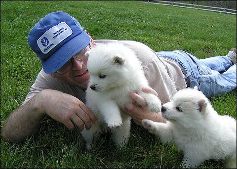 pups1.jpg