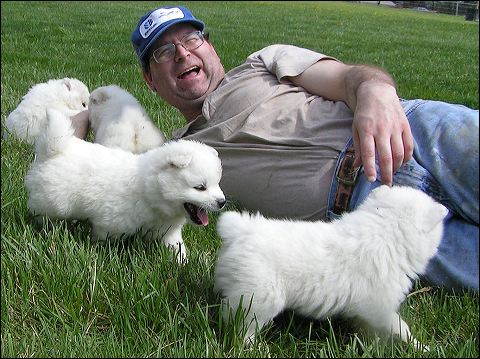 pups10.jpg