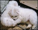 pict0008