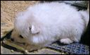 pict0014