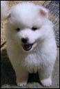pict0016