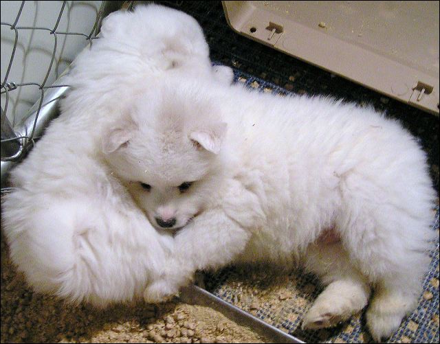 pict0008.jpg