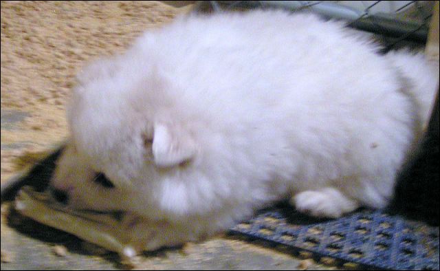 pict0014.jpg