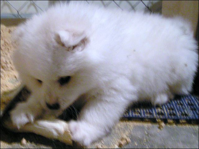 pict0015.jpg