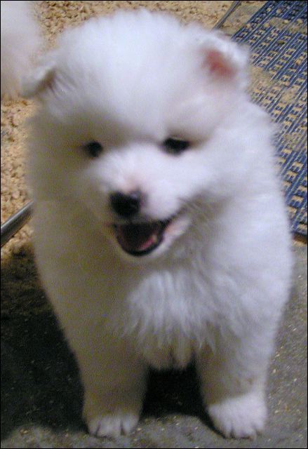 pict0016.jpg