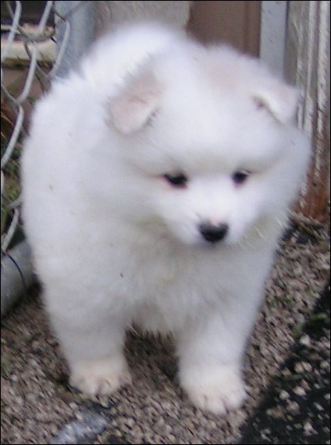 pict00~2.jpg