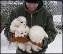 boy-girlA-girlB-4.JPG 