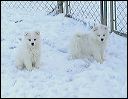 pict0024