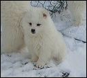 pict0038