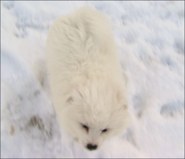 pict0029.jpg