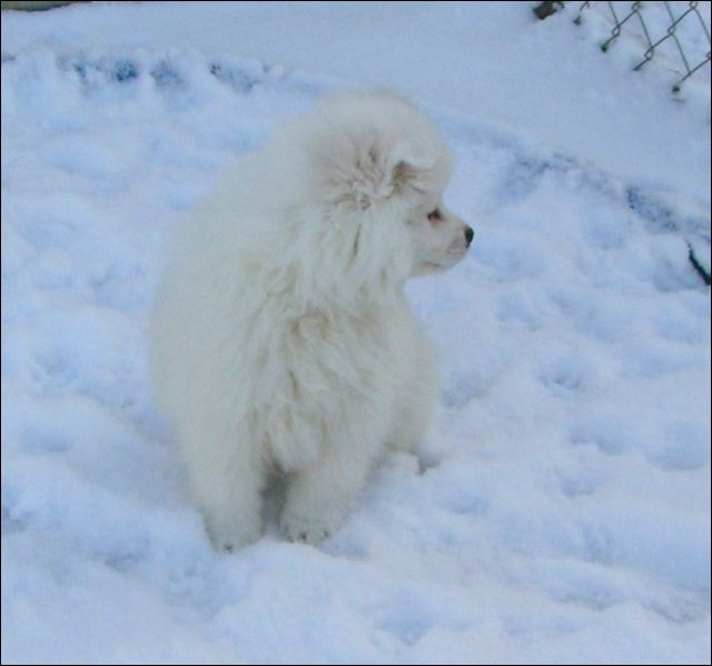 pict0033.jpg