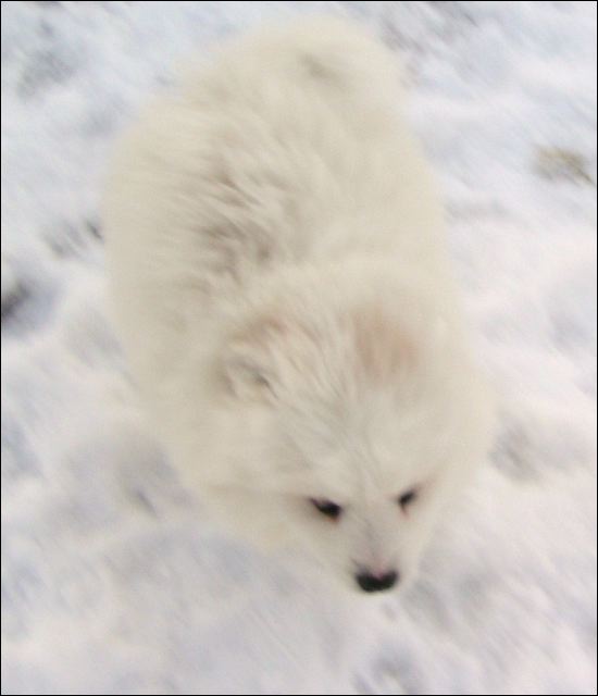 pict0041.jpg