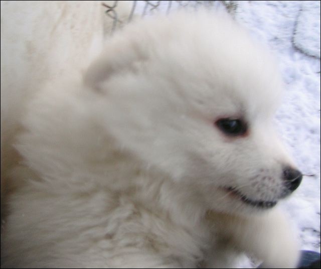 pict0044.jpg