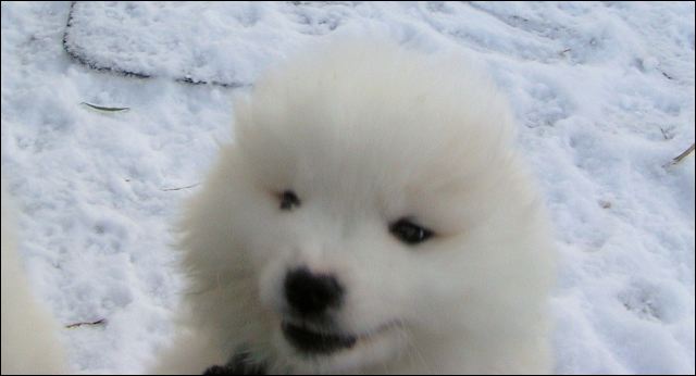 pict0047.jpg