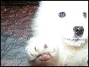 pict0025