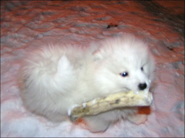 pict0023.jpg