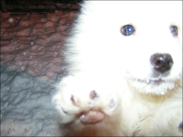 pict0025.jpg