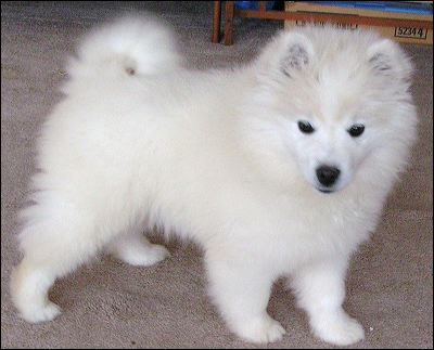 pict0001.jpg