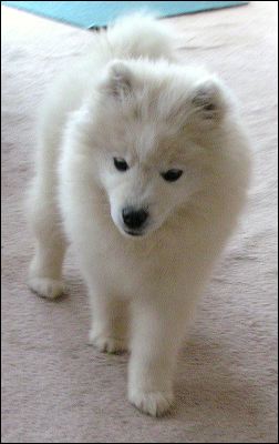 pict0002.jpg