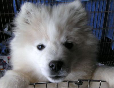 pict0005.jpg