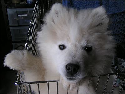 pict0006.jpg