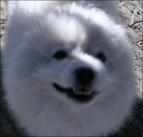 babyse~1.jpg