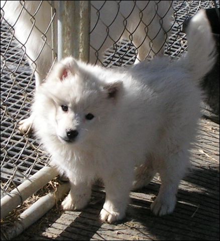 boy-a-7.jpg