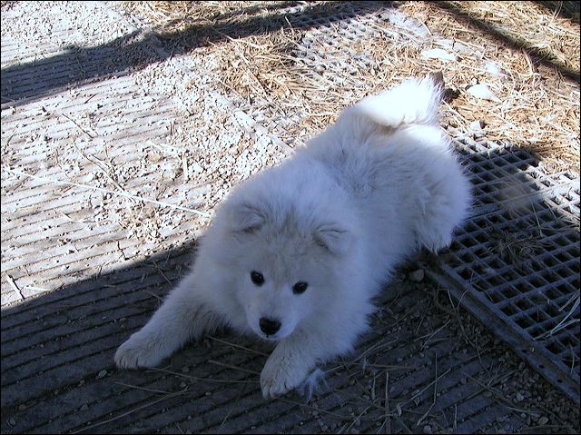 boy-b-3.jpg