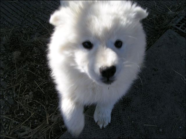 pict0014.jpg