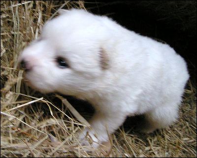 boy_2.jpg