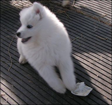 boy-1.jpg