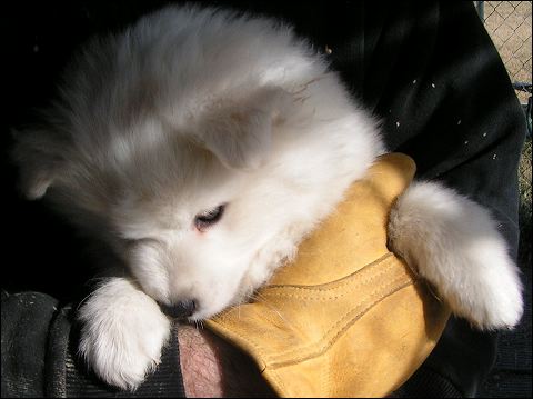 boy-10.jpg