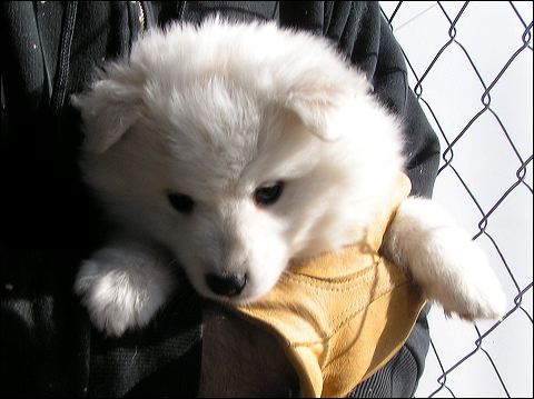 boy-11.jpg
