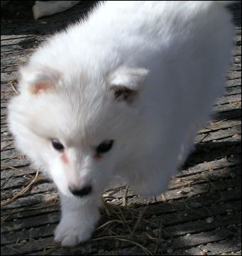 boy-4.jpg