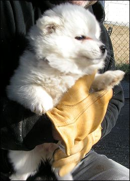 girl-13.jpg