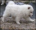pict0064