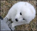 pict0069