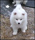 pict0076