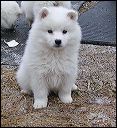 pict0077