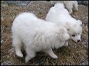pict0081