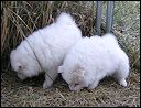pict0086