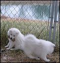 pict0090