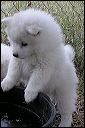 pict0095