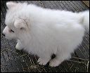 pict0112