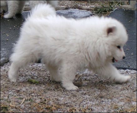 pict0064.jpg