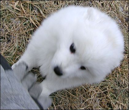 pict0069.jpg