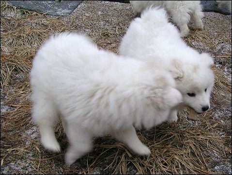pict0081.jpg
