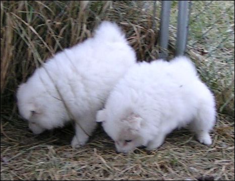 pict0086.jpg